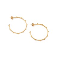 GOLD PLATED STUDDED HOOP EARRINGS